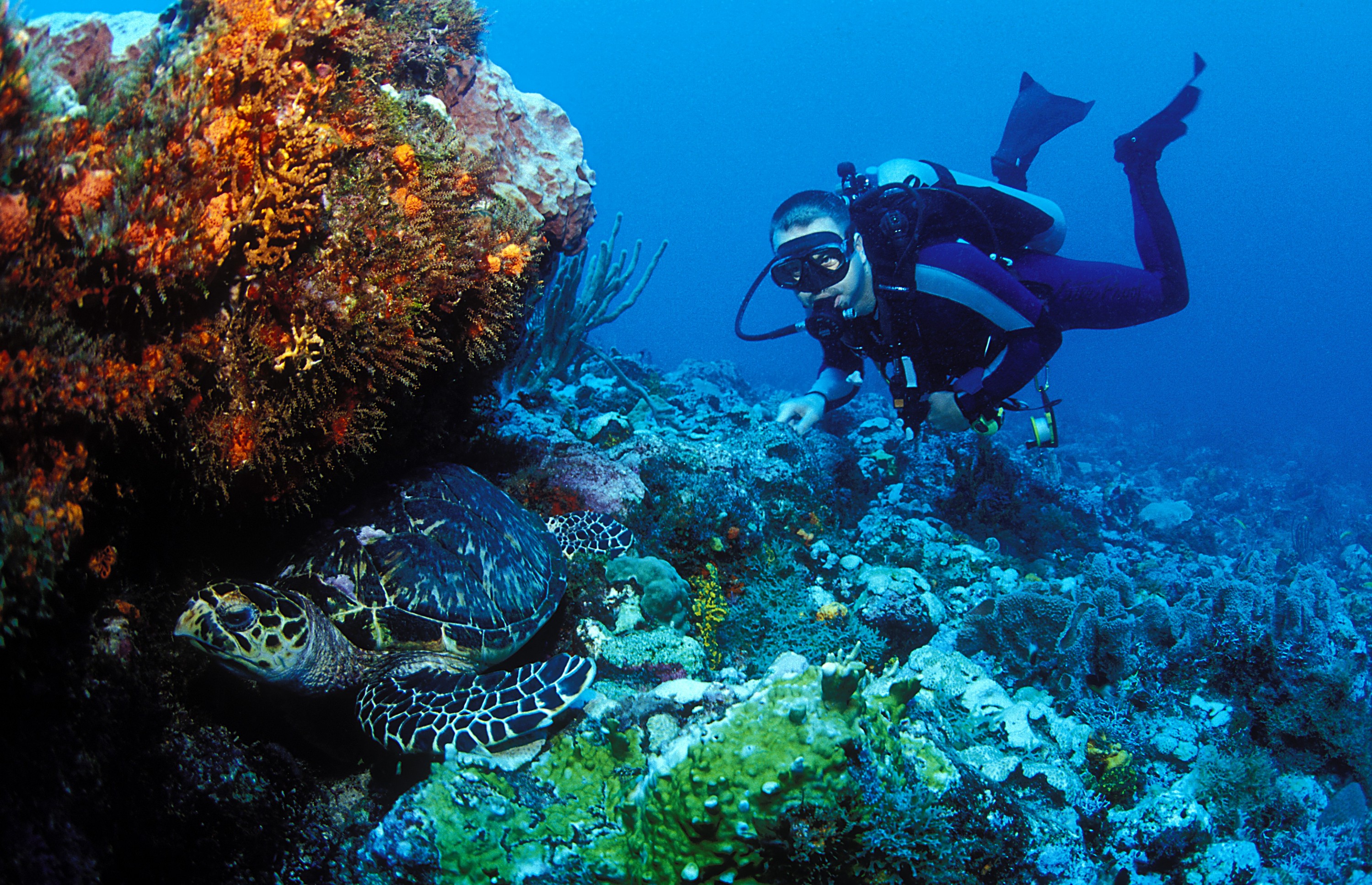 Diving Grenada