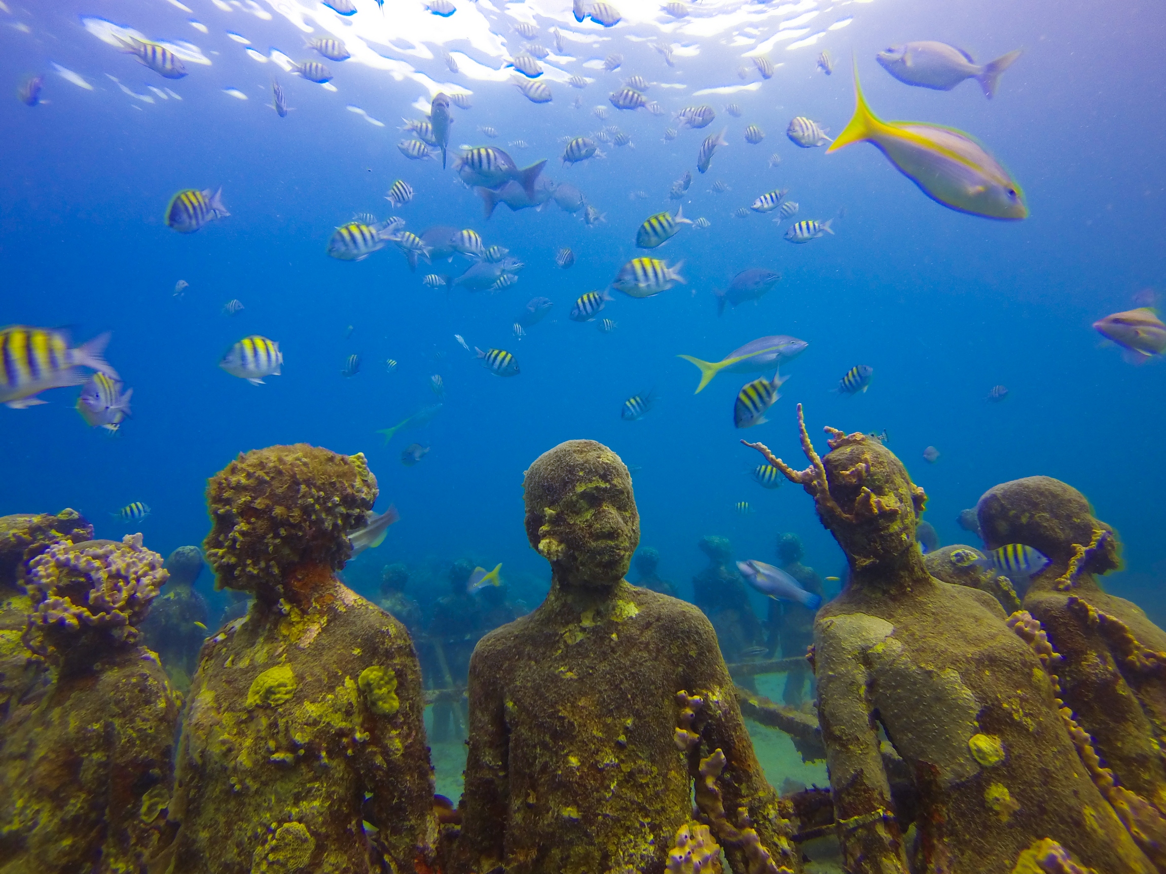 Underwater Sculpture Park, Grenada